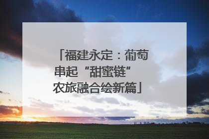 福建永定：葡萄串起“甜蜜链” 农旅融合绘新篇